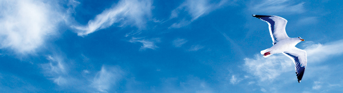 Traumatherapie Institut Ruhr